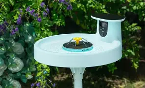 Head-to-Head: Birdfy Bird Bath Pro vs Gopro Lit Hero (Detailed Comparison)